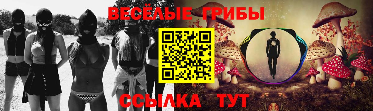 Лесозаводск  Галлюциногенные грибы Psilocybine cubensis  закладки  Вход с VPN  Псилоцибиновые грибы Psilocybine cubensis 